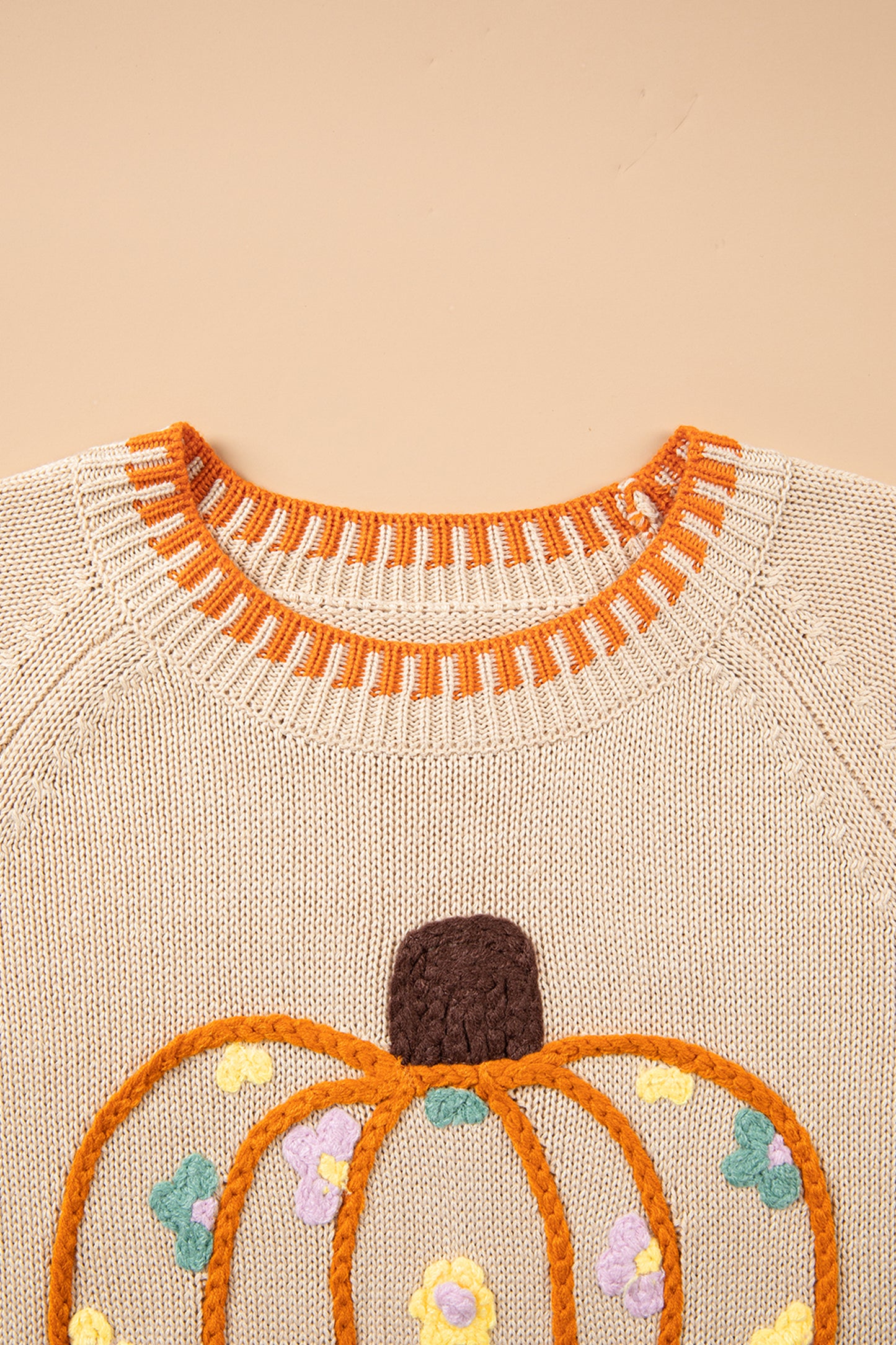 Parchment Floral Embroidery Pumpkin Long Sleeve Round Neck Sweater